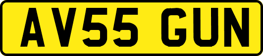 AV55GUN