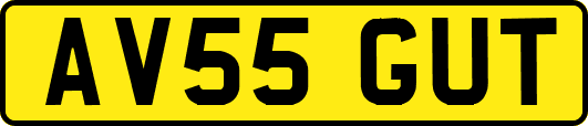 AV55GUT