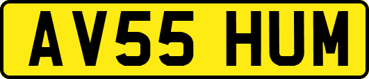 AV55HUM