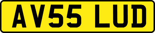 AV55LUD