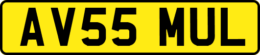AV55MUL