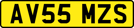 AV55MZS