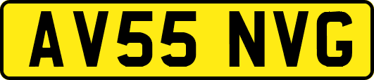 AV55NVG