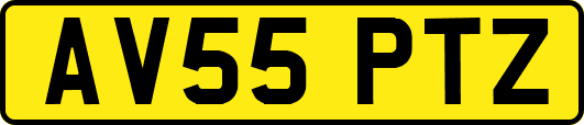AV55PTZ