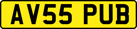 AV55PUB