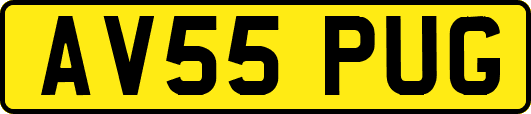 AV55PUG