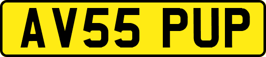 AV55PUP