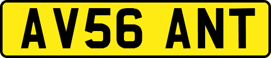 AV56ANT