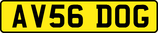 AV56DOG
