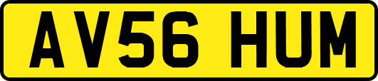 AV56HUM