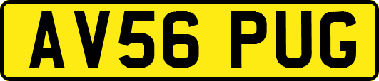 AV56PUG
