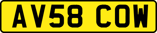 AV58COW