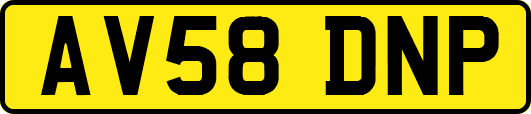 AV58DNP