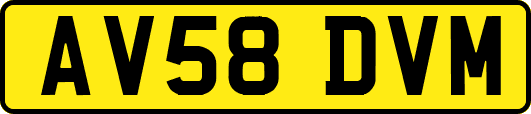 AV58DVM