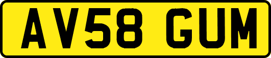 AV58GUM