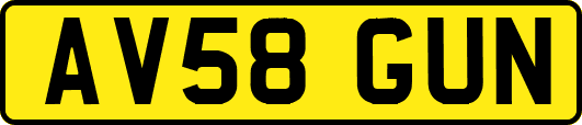 AV58GUN