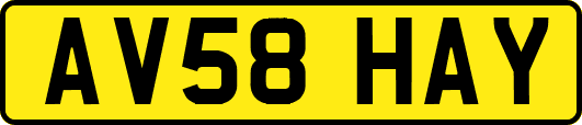 AV58HAY