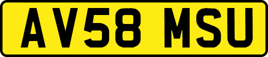 AV58MSU