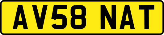 AV58NAT