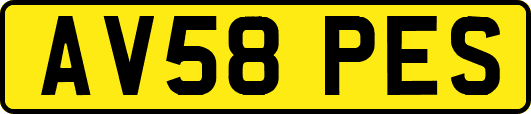 AV58PES