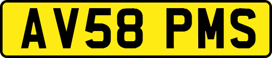 AV58PMS