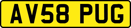 AV58PUG