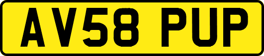 AV58PUP