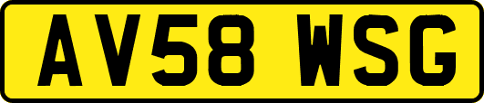AV58WSG