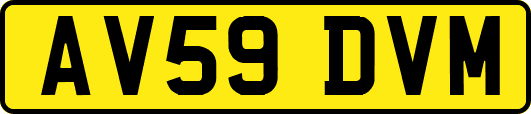 AV59DVM