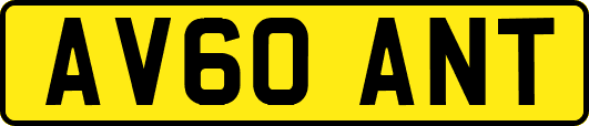 AV60ANT
