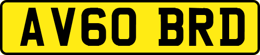 AV60BRD