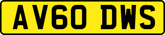 AV60DWS
