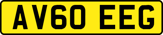 AV60EEG