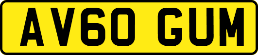 AV60GUM