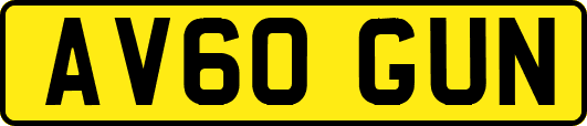 AV60GUN