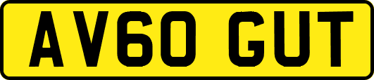 AV60GUT