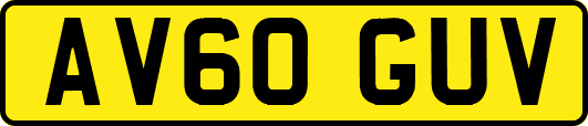 AV60GUV