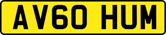 AV60HUM