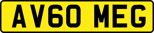 AV60MEG