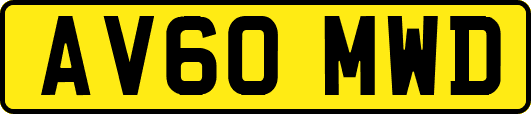 AV60MWD