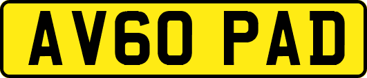 AV60PAD