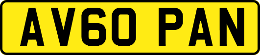 AV60PAN