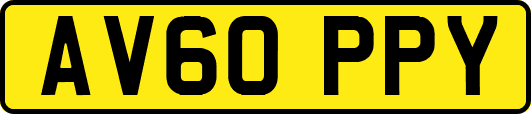 AV60PPY