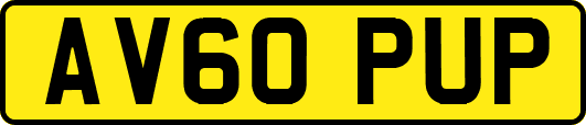 AV60PUP