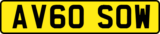 AV60SOW