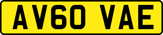 AV60VAE