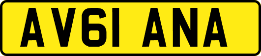 AV61ANA