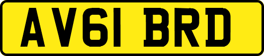 AV61BRD