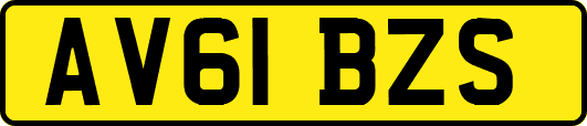 AV61BZS