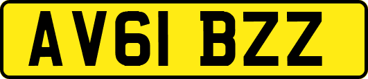 AV61BZZ